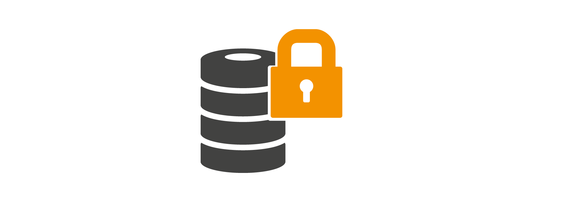 Externe Datensicherung Logo